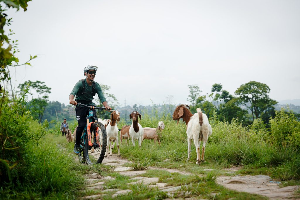 Ride Like a Local Tour